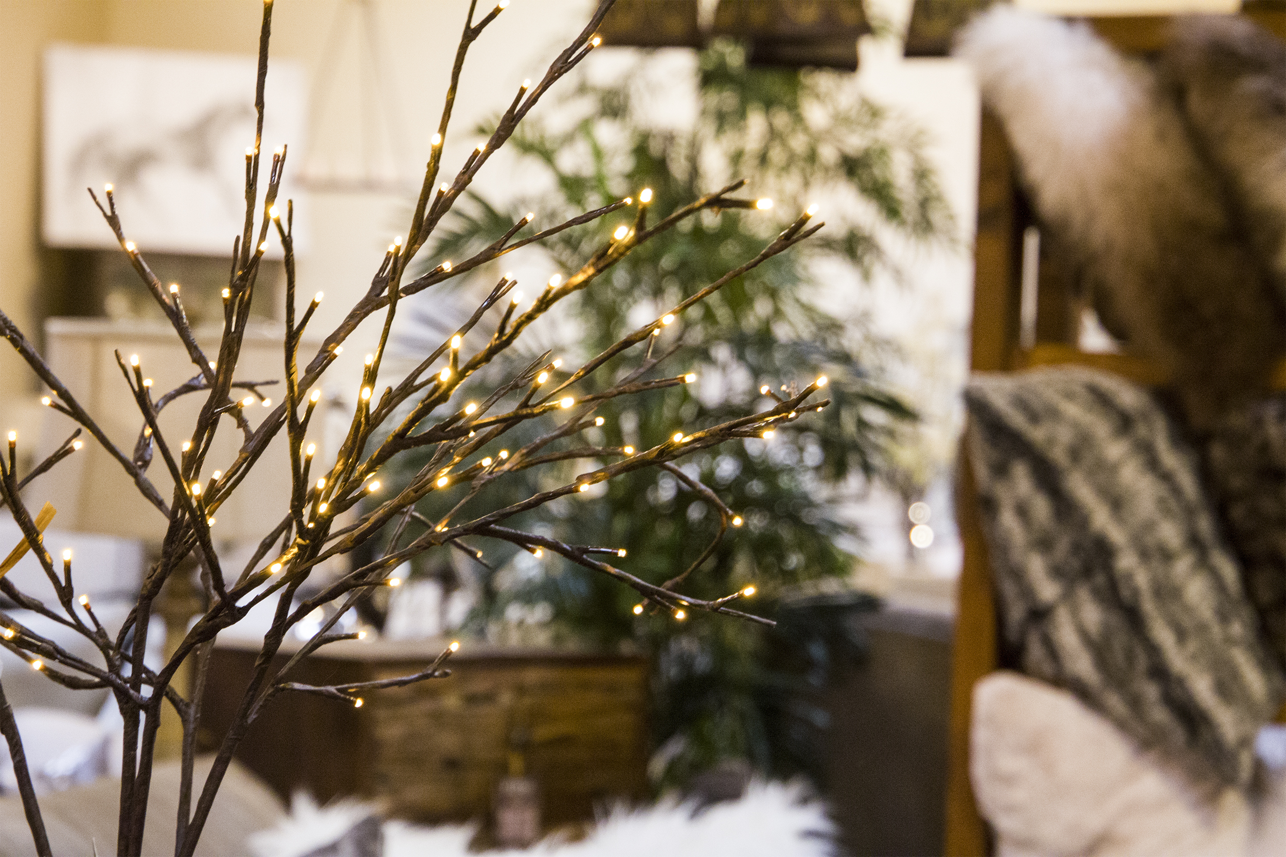 the-find-reno-glittering-light-branches